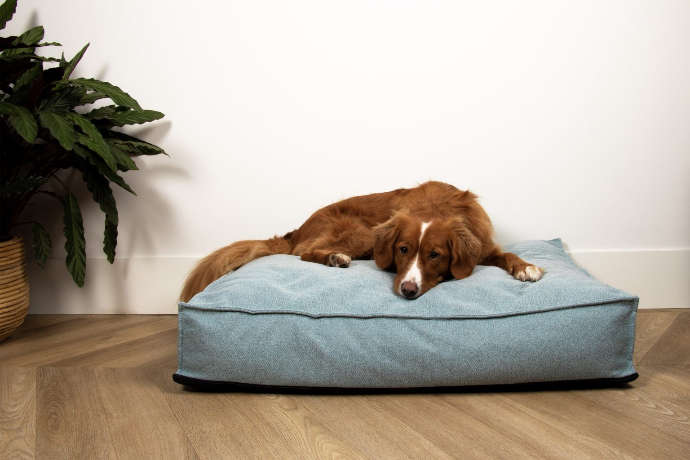 Eden Dog Matress Eden Dog Matress
