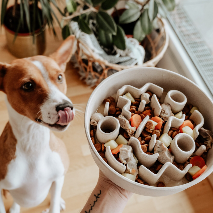 Bamboo Slow Feeder Dog Bamboo Slow Feeder Dog
