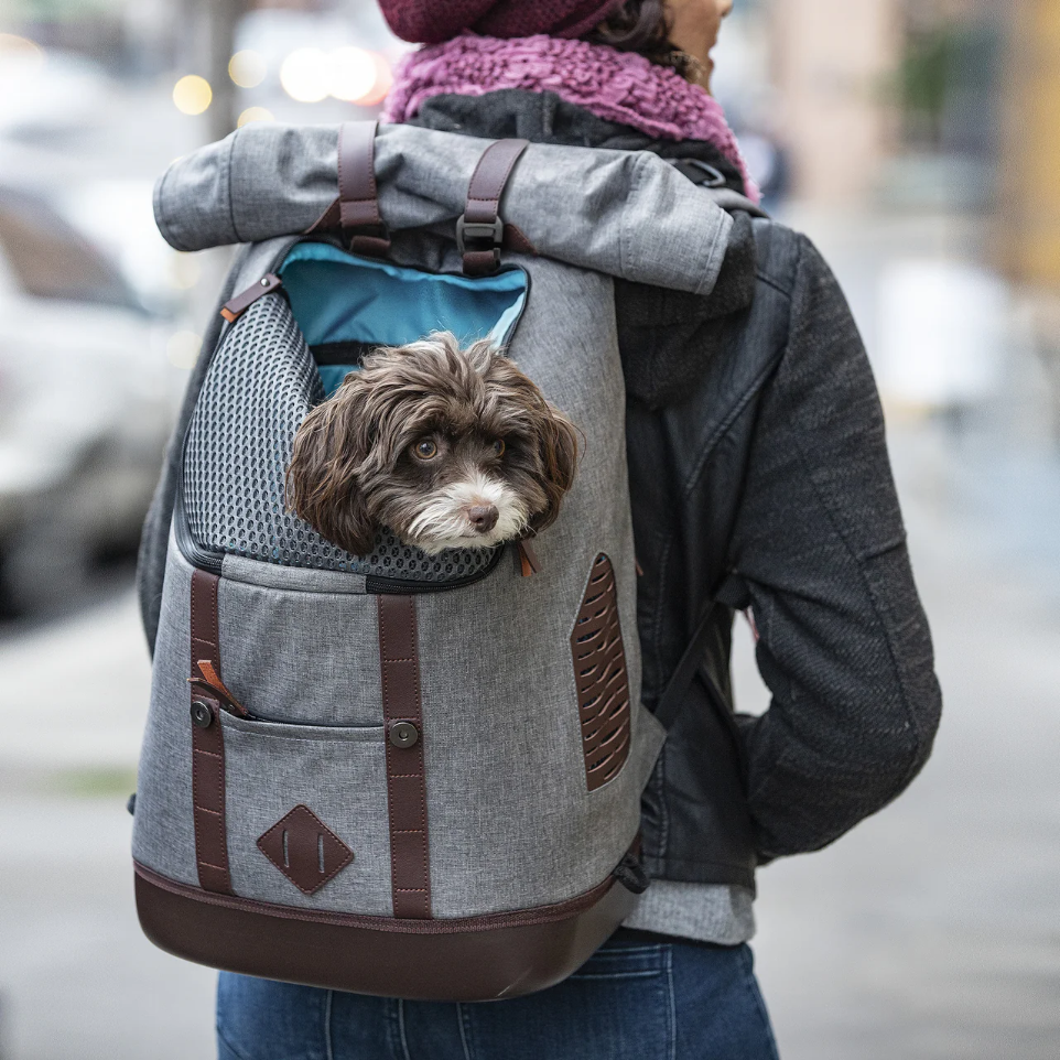 Kurgo Rucksack Kurgo Rucksack
